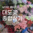 꽃걸음 | 남대문 꽃시장 꽃상가 후기, 초보의 진심가득 꿀팁과 주의사항, 시장 휴가기간