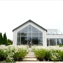 오늘여기 이미지