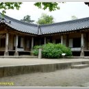 백송태양광 | 예산여행 2 - 추사김정희의 고택