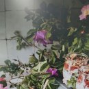 공조냉동기계기사강의 시험 준비 중이시라면, 이곳에서 대비하세요!