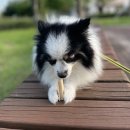 나주종합동물병원 이미지