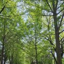 자모의원 이미지