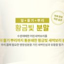 네이쳐팜스