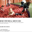 월드프린트 부산 | 부산 이케아 동부산점 쇼핑 후기 스몰란드 이용방법부터 신상품 추천