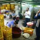 진산농장3 이미지