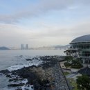 거북곰장어 이미지