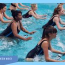 아쿠아휘트니스 이미지