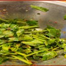 성남대로331번길 이미지