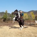 카우보이 이미지