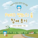 🕊️KOICA 서포터스 WeKO 6기_&lt;PeKO 평화의 숲&gt; 팝업스토어 참여 후기🕊️