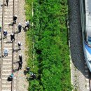 하단동242 | [8/22] 외국인 토허제/개인투자용 국채/쌀 수급 차질