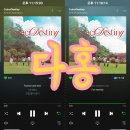 [다홍] 위키미키 Weki Meki [CoinciDestiny] 스트리밍 인증 이미지