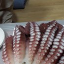 생태숲펜션 Daum카페