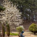 마음의 정원 펜션 이미지