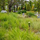 화서역 5번출구 이미지