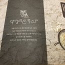 고배돈까스 이미지
