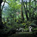 33회 해외여행 / 2018년 11월 18일-21일(4일) 원령공주의 숲, 야쿠시마섬 이미지