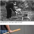 인성 이미지