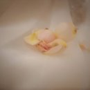 퍼스트컴퍼니 이미지