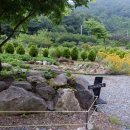 편백연 관광농원 이미지