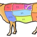 [필리핀 어학연수]고기살때 유용한 영어 - 쇠고기 편(BEEF) 이미지