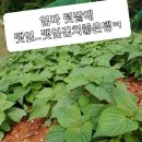 맛드림푸드 이미지