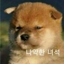 긴고랑로8길 - 1521 | 긴고랑로8길