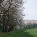 정권목장 이미지