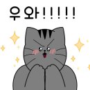 메르시(merci beauty)