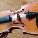 바네스(VANESSE) 이미지