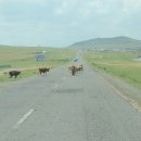 몽골 여행 사진 모음-6 이미지