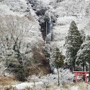 천년숲서로(동) 이미지