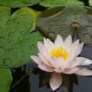 참솔에너지 이미지