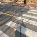 치치까까 | 유행하는건 놓칠 수 없는 사람 feat. 봄동, 매샷추, 버터떡