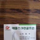 애플스크린골프(2) 이미지
