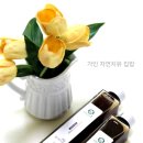 시목원 이미지