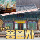 새해소원 가볼만한곳 경기 양평 용문사 은행나무,템플스테이,관세음보살상 솔직후기-수산물전문가 꼼꼼후기