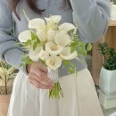 플레르쉐무아