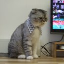 백호여관 이미지