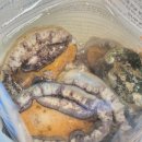 [전남 완도] 신선함이 살아있는 완도전복 바다앤영어조합법인