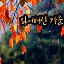 #3430 나는 누구인가? - 잃어버린 가을 Lost Autumn 이미지