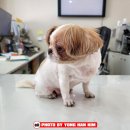 설악동물병원 이미지