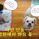 용동물병원 이미지