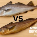 동탄코다리개성집 이미지