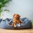 논현동물병원 이미지