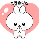 케이크당 네이버블로그