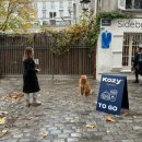 LA음악광장 | 49. 유럽 신혼여행 6일차ㅣ몽마르뜨 오후 워킹투어 (사크레쾨르 성당·테르트르 광장·개선문·에펠탑)