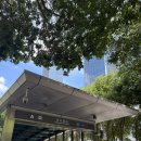 원덴탈 | [중국] 심천치과 원덴탈클리닉 후기 / 심천 한인 치과