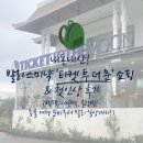 뷰스짐 에코지점 | 발리 스미냑 '티켓 투 더 문' 쇼핑 &amp; 첫인상 후기 (백팩, 에코백, 슬링백! 몽골 여행 준비부터 발리...