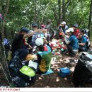 대황강 출렁다리 이미지